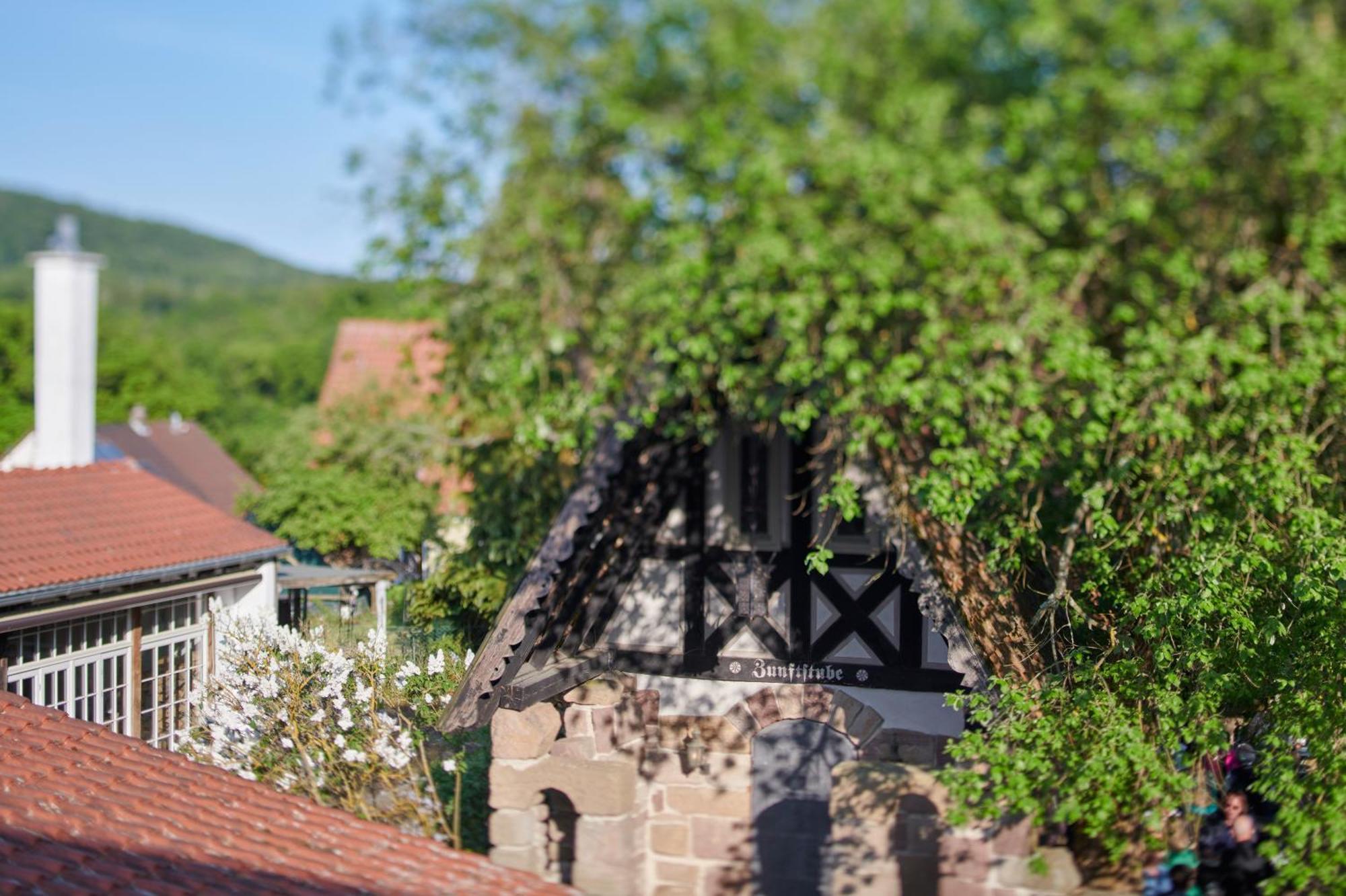 Hotel Der Grischaefer バート・エムスタール エクステリア 写真
